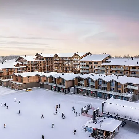 Levikaira - Log Levi