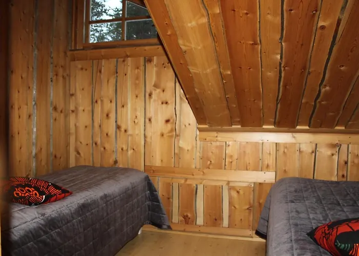 Levikaira - Log Levi